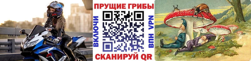 hydra зеркало  Полтавская  Галлюциногенные грибы Psilocybe 